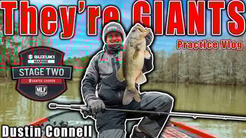 They GROW Different HERE - MLF Stage 2 Santee Cooper - Practice Vlog
