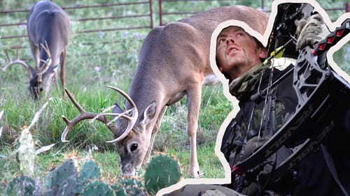 Opening Day Whitetail | Bucks Everywhere on New Lease!