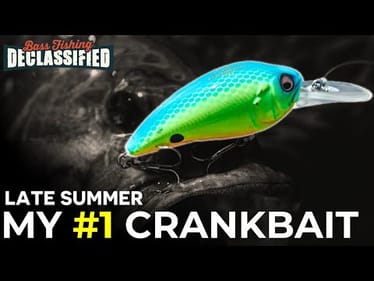 My Go-To Bait When Fishing Is Painfully Tough In The Late Summer