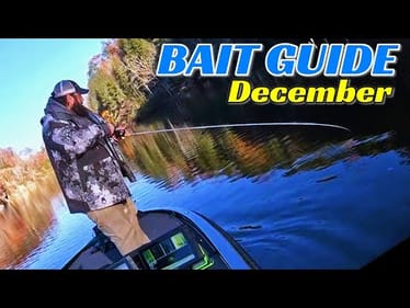 5 Baits You NEED for December Bass Fishing
