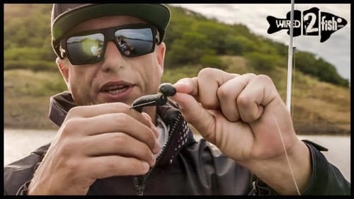 Why You Should Fish Big Worms on Swinging Jigs
