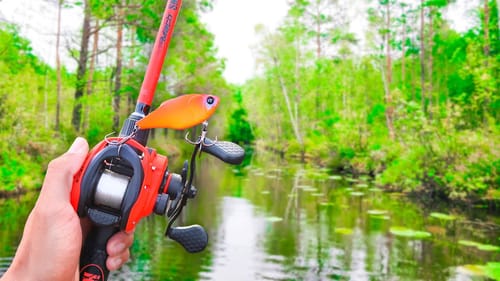 Catching GIANT Bass in BIG Ponds! (Bank Fishing)