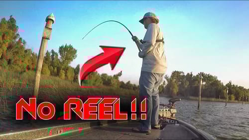 CRAZIEST Fish Catch of 2017 !!!