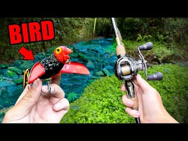 BIRD Fishing Lure Catches BIG FISH (CRAZY!)