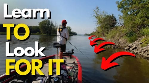 Look for This Every Place You Fish | Bass Fishing Tips