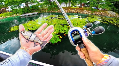 Bass Fishing a LEGENDARY POND With Subscribers!! (Camp Claw Tour)