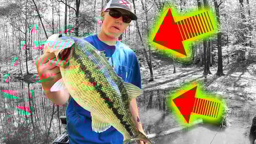 HE Caught the LAKE RECORD Bass (TWICE) in a Fishing TOURNAMENT!!!
