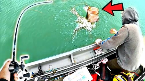 This Pond has GIANT Mutant Bass!! (Biggest Fish EVER!)