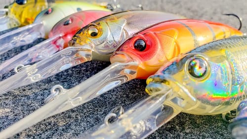 Catch Fish Every Time! How To Speed Crank For Bass Right Now!