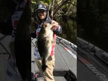 LeHew lands a monster at St. Johns