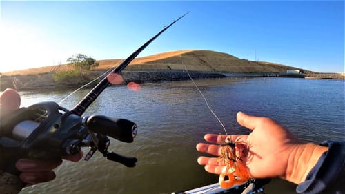 Fishing Strong Current for Summertime Largemouth (Hot Jig Bite!)