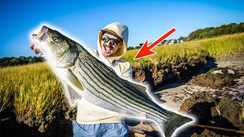 CATCHING MASSIVE STRIPER FROM SHORE  - STRIPED BASS FISHING CAPE COD 2022