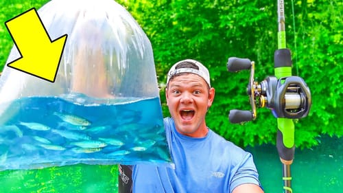 LIVE BAIT Fishing For Big AGGRESSIVE Fish!