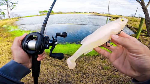 Fishing BIG Swimbaits for GIANT Bass (BIGGIN CAUGHT)