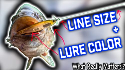 Does Line Size Matter?! 3 Pro Anglers Talk Tackle