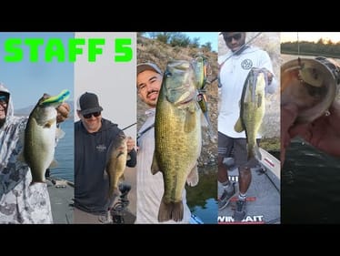Try These 5 Unique Japanese Baits To Catch More Fish This October! // Staff 5 Ep. 4