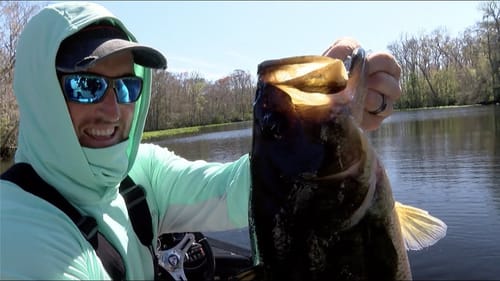 2020 Bassmaster Elite at St. Johns River (TV)