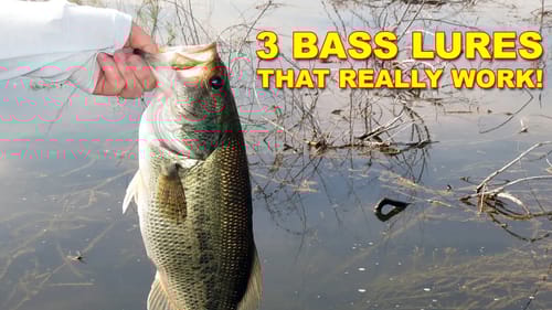 3 Best Bass Lures That Work For Summer | How To | Bass Fishing
