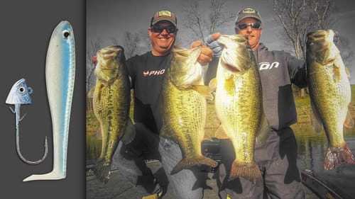 How to Catch Big Bass on Paddle-Tail Swimbaits