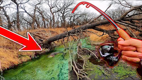 The LAST CREATURE I Wanted to see While Fishing My Favorite TINY Creek!! (SCARY)