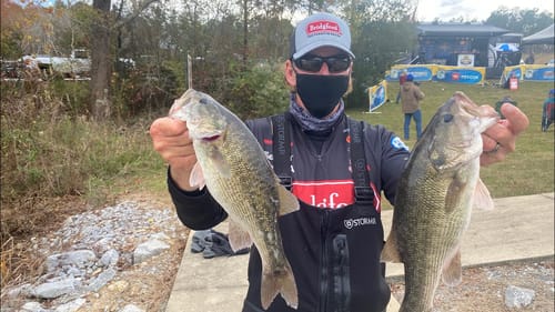 Day 1 Bassmaster Lay Lake...survived/missed opportunity/Elite Series berth still possible!
