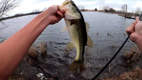 Fishing Before a Storm (Pre-front Bite)