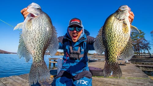 GIANT CRAPPIE Fishing MARINA DOCKS!! (MASSIVE)