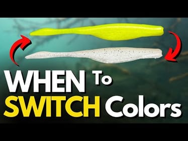 Change Lure Colors With a Purpose  (Not Just a Guess)