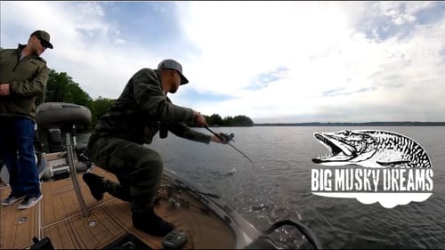 Something Smells Fishy in the air - #BigMuskyDreams