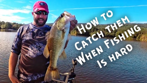 When the Fishing is Tough - How to Fish