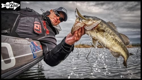 Finesse Bass around the Spawn with Subtle Swimbaits