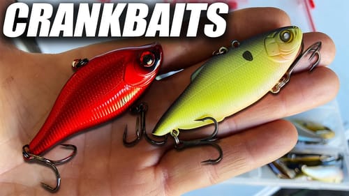 2 Spring Crankbaits the PROS NEVER Talk About