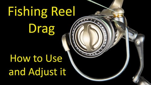 How to Use and Adjust Fishing Reel Drag Systems