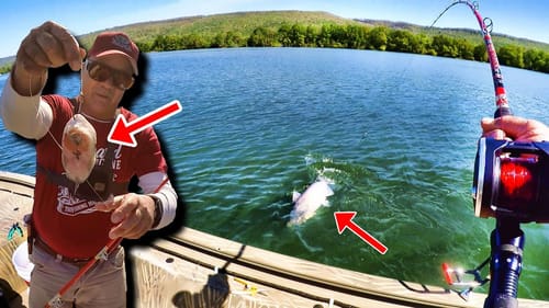 How To Catch Catfish The SIMPLE and EASY Way!