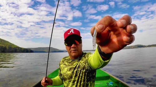 Simple Crappie Fishing Setup That Works Even On The Toughest Days!!!
