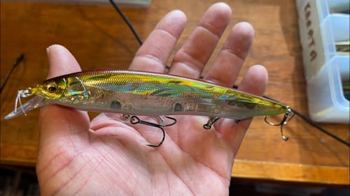 Don’t Miss Out On Early Summer Jerkbait Fishing…(THE Key Jerkbait)