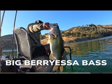 GRINDING IT OUT FOR A BIG |  FALL BASS FISHING | LAKE BERRYESSA #fishing