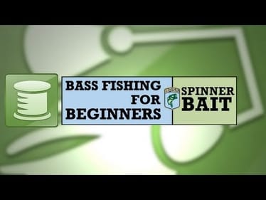 Bass Fishing for Beginners: Spinnerbait