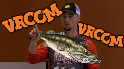 SUCKING UP Bass Like a Vacuum Cleaner