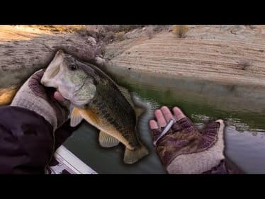 Fishing Finesse Swimbaits for Winter Bass | Happy New Year!