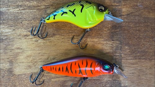 The Two Coldwater Megabass Crankbaits Pros Use And Won’t Talk About.