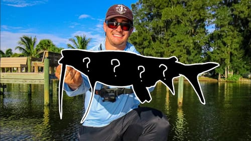 I Can't Believe We Caught a Giant One of These!