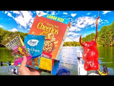 Fishing For GIANTS With Groceries From Walmart!