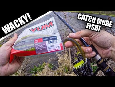 This SIMPLE Rig Catches a LOT of Fish (Lessons Learned!!!)