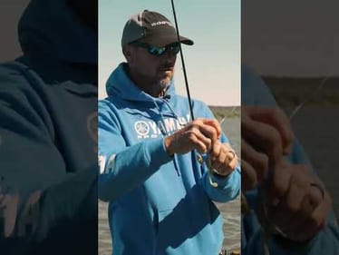 My NEW Favorite SPINNERBAIT? (Early Fall Bass Fishing)