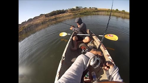 Summer Bass Fishing