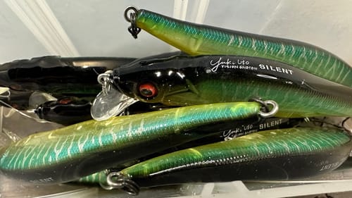 This Late-August/September Jerkbait Technique Will Get You 20-40 Fish A Day…