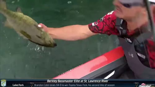 Big Smallmouth and fast action on Final Day at the St. Lawrence River