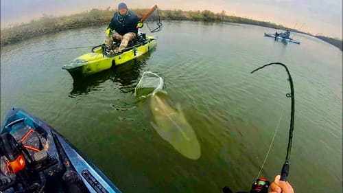I've been CHASING THIS FISH for YEARS! (MONSTER)