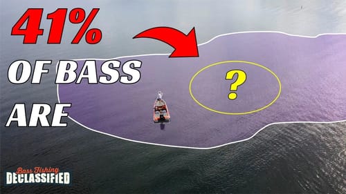 I Don’t FISH For BASS The Same After This Study..